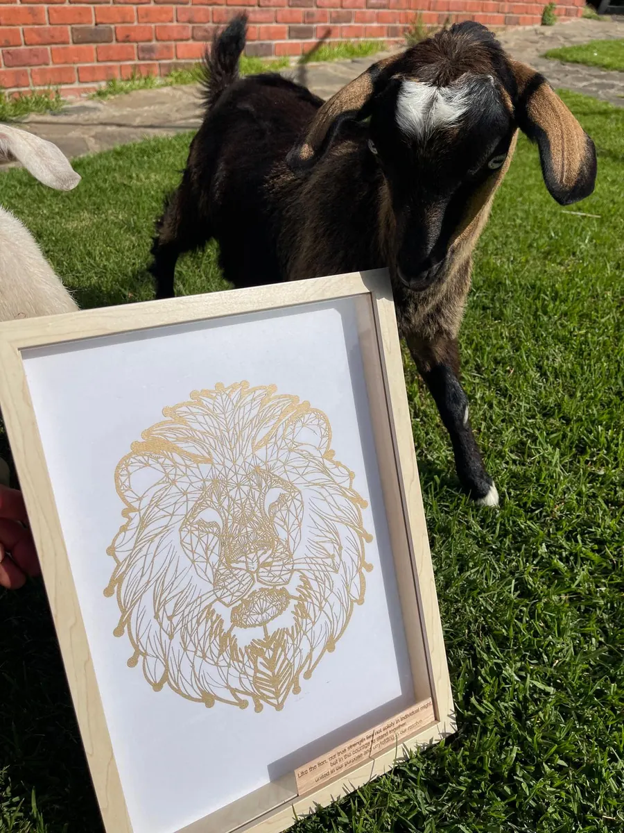 Framed geometric laser cut lion wall art in gold linework on a white background