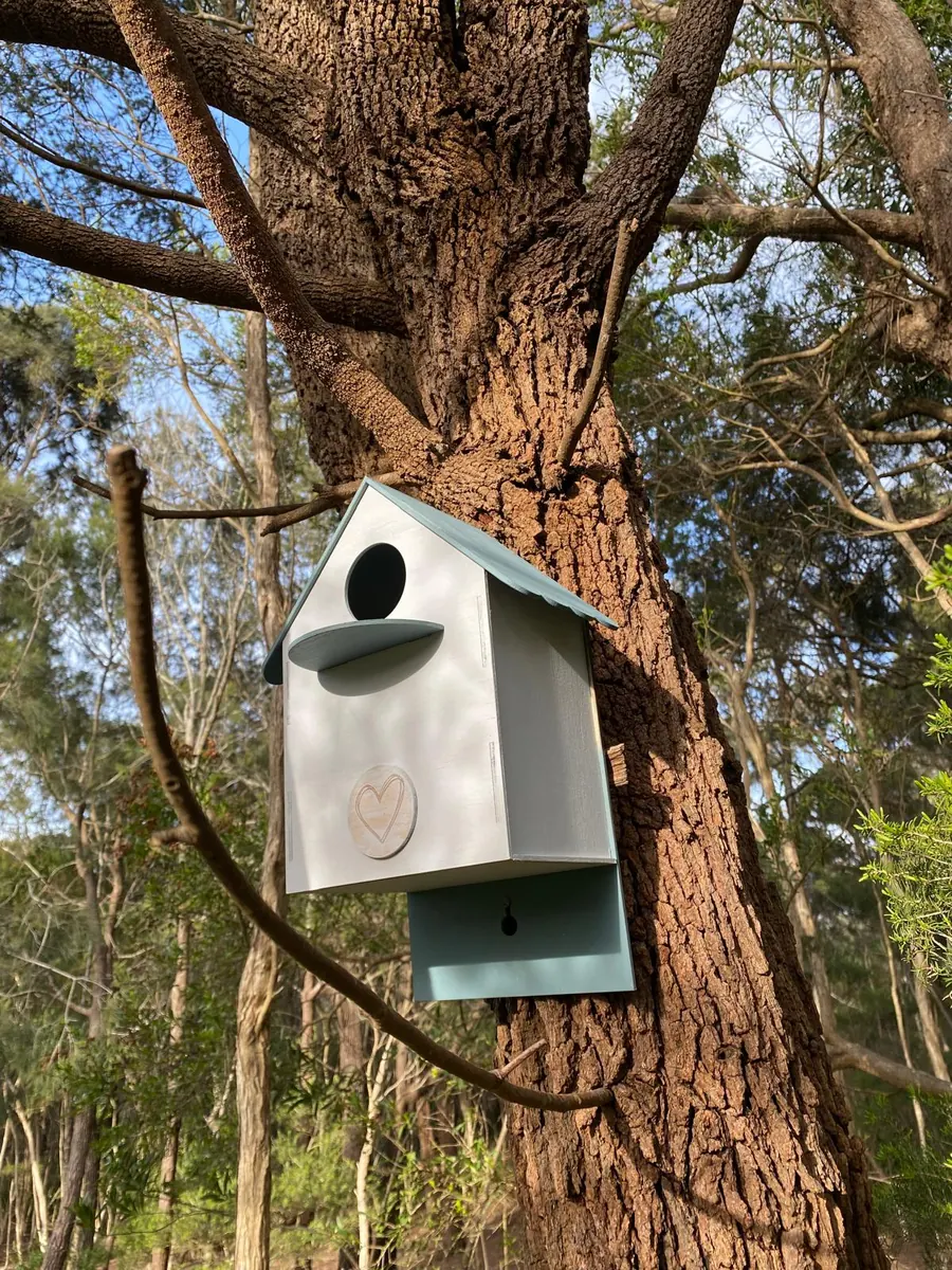 Painted laser cut timber bird nesting box with a heart detail, mounted on a tree
